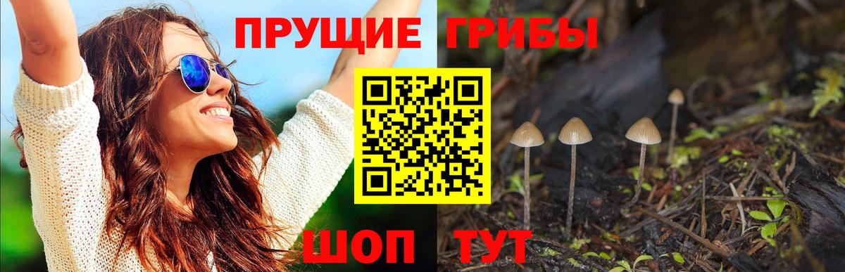 Галлюциногенные грибы GOLDEN TEACHER Учалы
